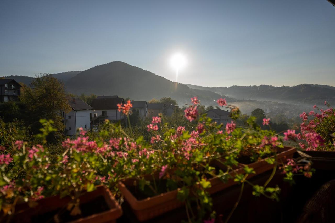 Apartment The View Visoko
